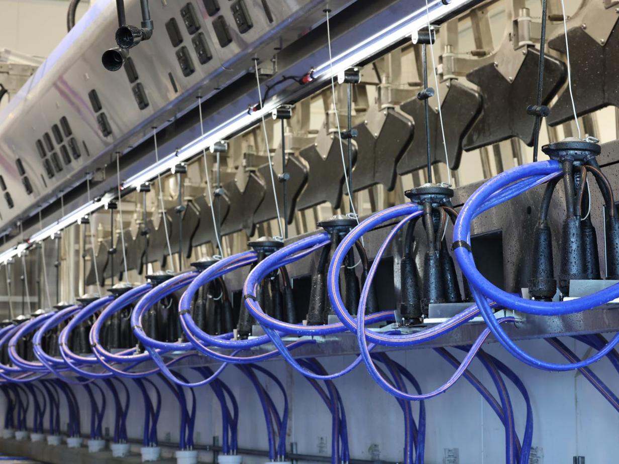 Sistem de muls DeLaval P500