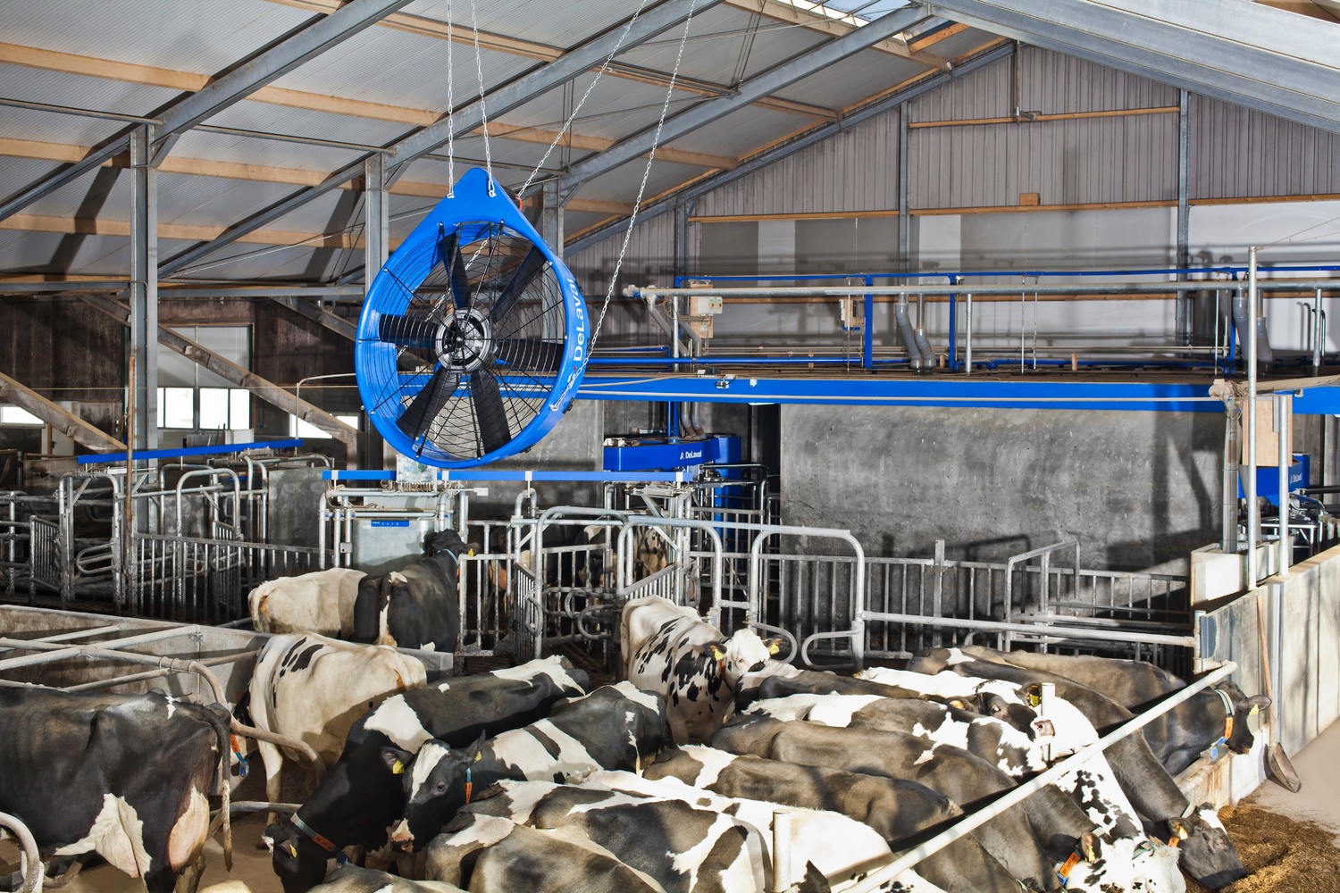 Ventilatoarele DeLaval DDF