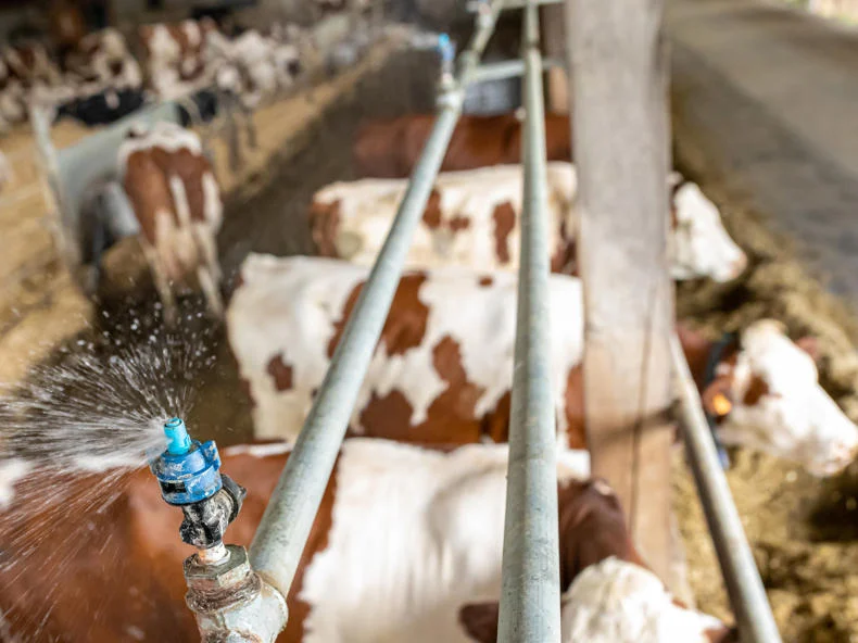 Sistemul de spayere la frontul de furajare DeLaval